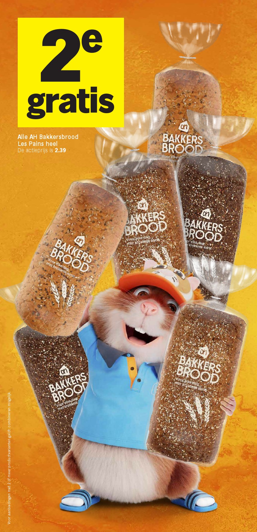 Albert Heijn Ah Folder Volgende Week 24